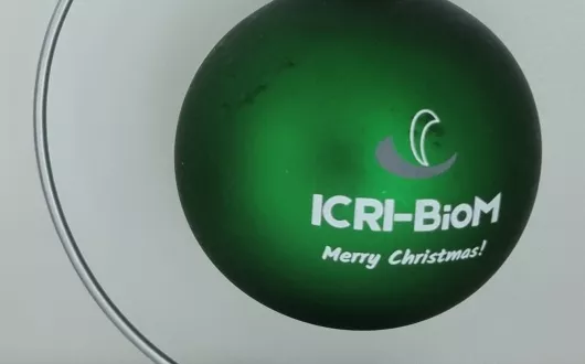 Best Christmas and New Year wishes  to all visitors of our webpage from the ICRI-BioM team