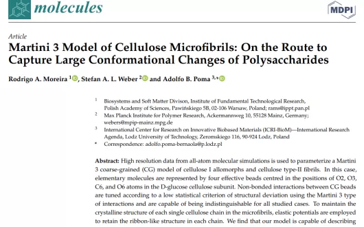 Martini 3 Model of Cellulose Microfibrils: On the Route to Capture Large Conformational Changes of Polysaccharides