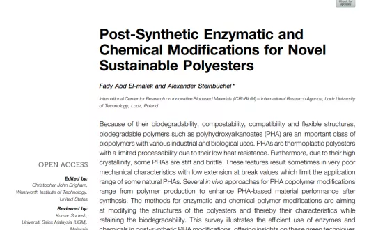 Post-Synthetic Enzymatic and Chemical Modifications for Novel Sustainable Polyesters