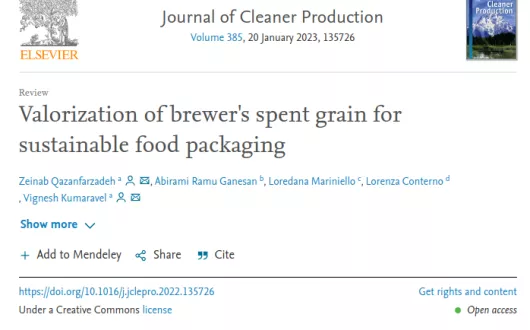 Valorization of brewer's spent grain for sustainable food packaging