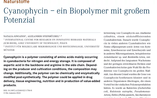 Cyanophycin – ein Biopolymer mit großem Potenzial.