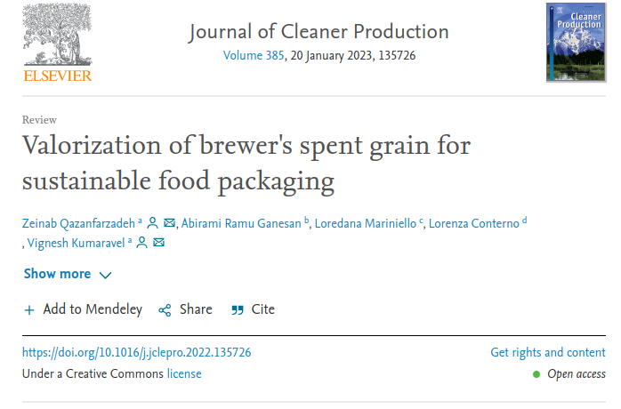 Valorization of brewer's spent grain for sustainable food packaging