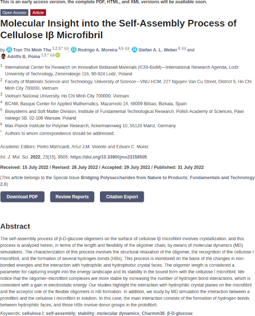 Molecular Insight into the Self-Assembly Process of Cellulose Iβ Microfibril